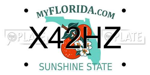 X42HZ Florida License Plate