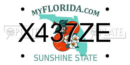 X437ZE Florida License Plate