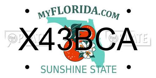X43BCA Florida License Plate