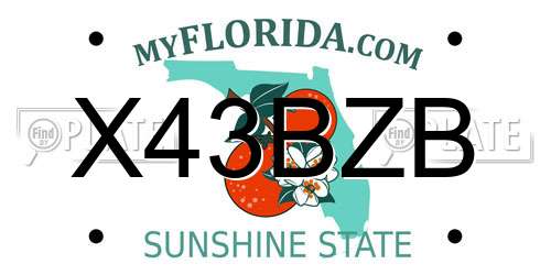 X43BZB Florida License Plate
