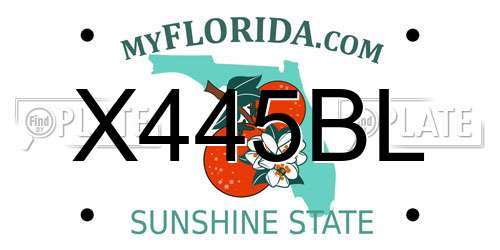 X445BL Florida License Plate