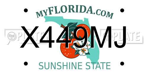 X449MJ Florida License Plate