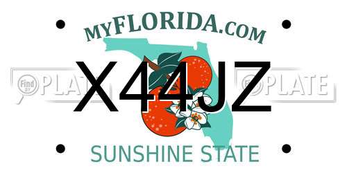 X44JZ Florida License Plate