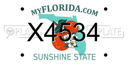 X4534 Florida License Plate