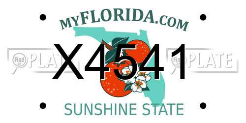 X4541 Florida License Plate