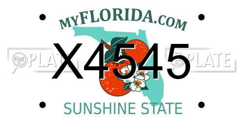 X4545 Florida License Plate