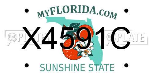 X4591C Florida License Plate