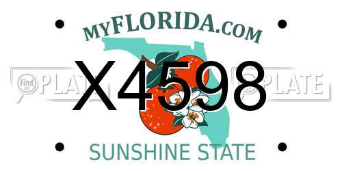 X4598 Florida License Plate