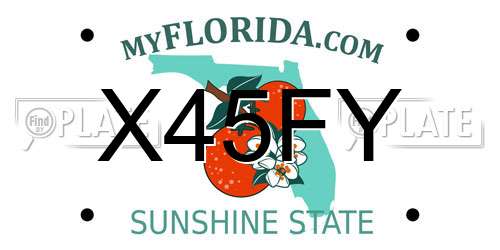 X45FY Florida License Plate