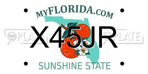 X45JR Florida License Plate