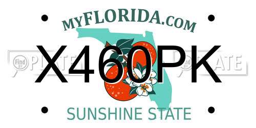 X460PK Florida License Plate