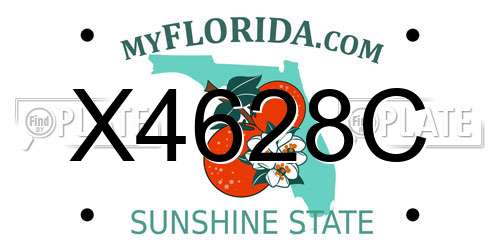 X4628C Florida License Plate