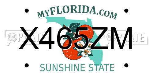 X465ZM Florida License Plate