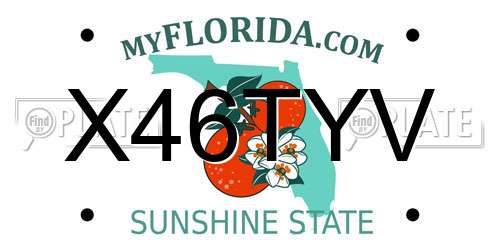 X46TYV Florida License Plate