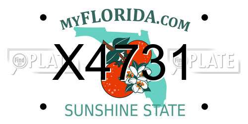 X4731 Florida License Plate