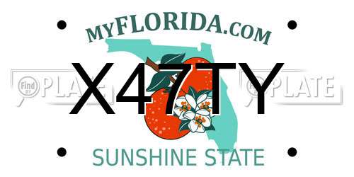 X47TY Florida License Plate