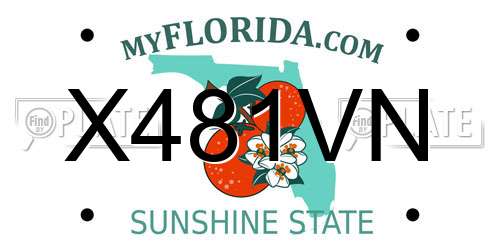 X481VN Florida License Plate