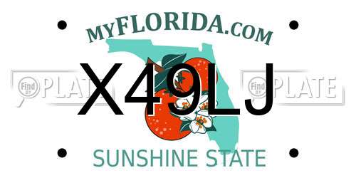 X49LJ Florida License Plate