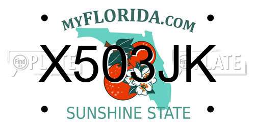 X503JK Florida License Plate