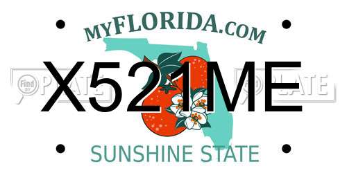 X521ME Florida License Plate