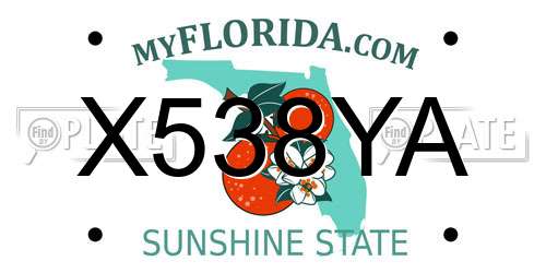 X538YA Florida License Plate
