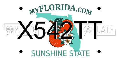 X542TT Florida License Plate