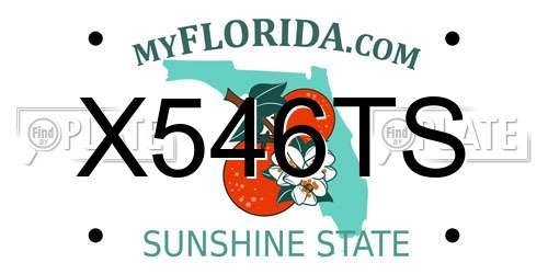 X546TS Florida License Plate