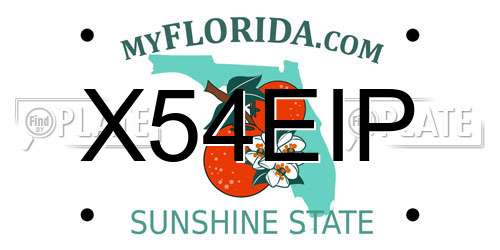 X54EIP Florida License Plate