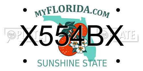 X554BX Florida License Plate