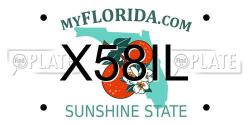 X58IL Florida License Plate