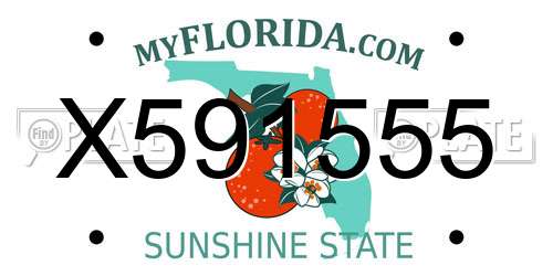 X591555 Florida License Plate