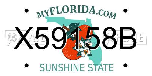 X59158B Florida License Plate