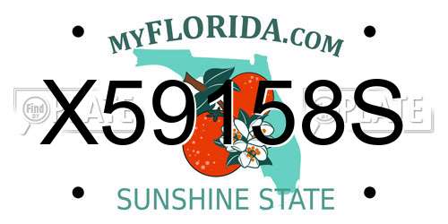 X59158S Florida License Plate