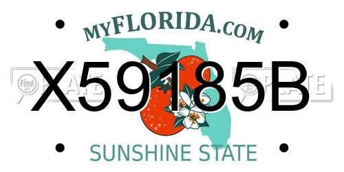 X59185B Florida License Plate