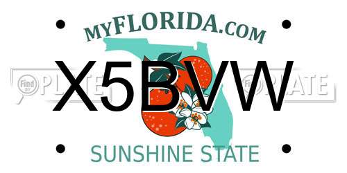 X5BVW Florida License Plate