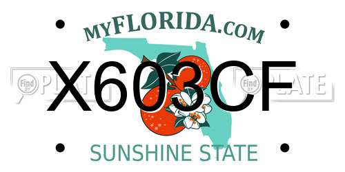 X603CF Florida License Plate