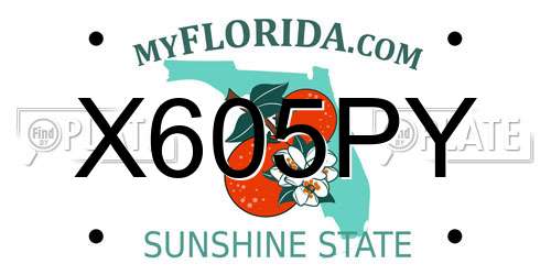 X605PY Florida License Plate