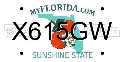 X615GW Florida License Plate