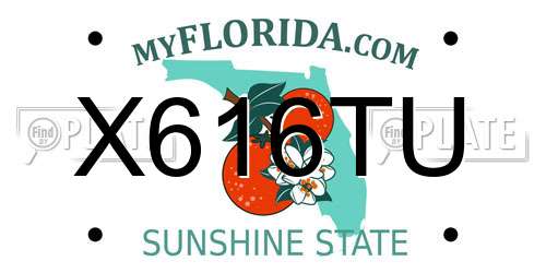 X616TU Florida License Plate