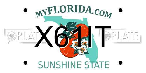 X61IT Florida License Plate