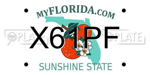 X61PF Florida License Plate