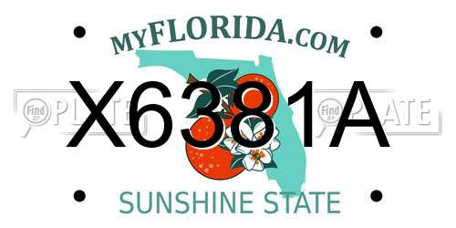 X6381A Florida License Plate