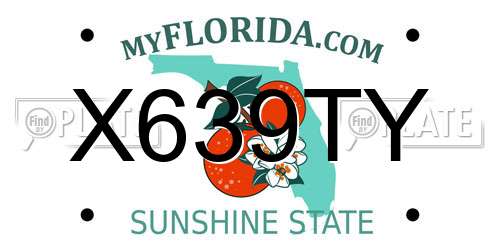 X639TY Florida License Plate