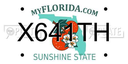 X641TH Florida License Plate