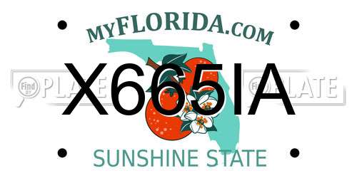 X665IA Florida License Plate