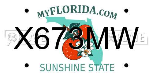 X673MW Florida License Plate