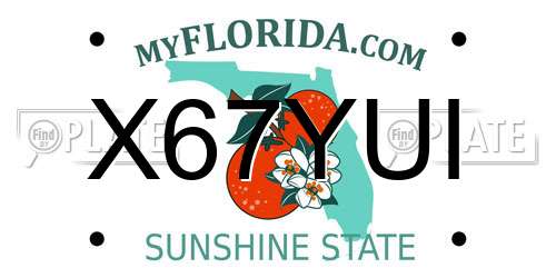 X67YUI Florida License Plate