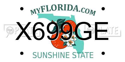 X699GE Florida License Plate