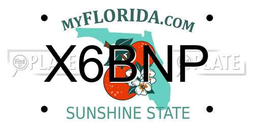 X6BNP Florida License Plate