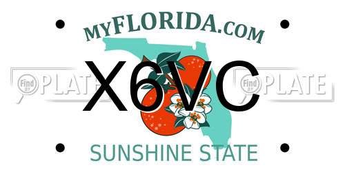 X6VC Florida License Plate